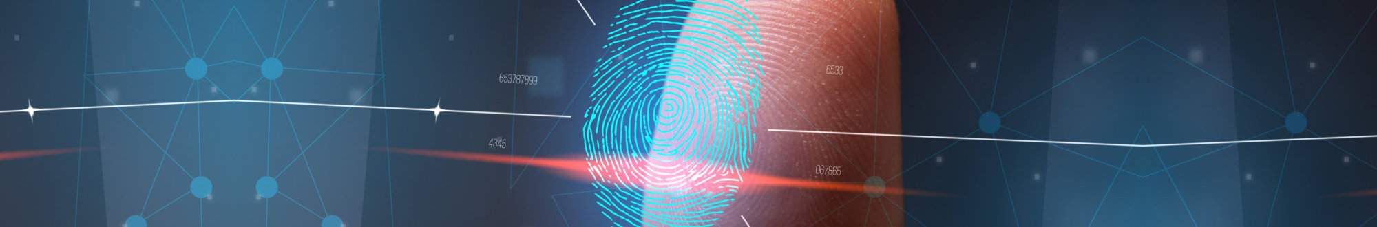 scanning of the fingerprint